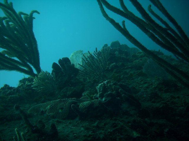 imag0115.jpg