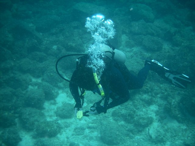imag0130.jpg