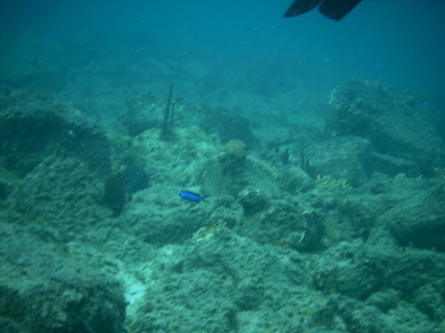 imag0132.jpg