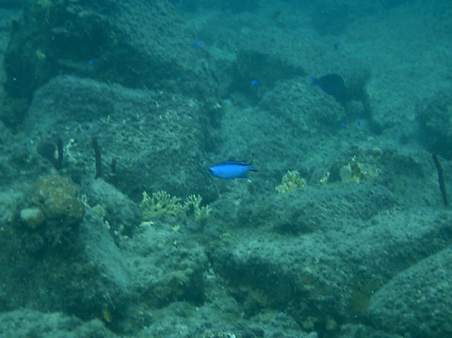 imag0133.jpg