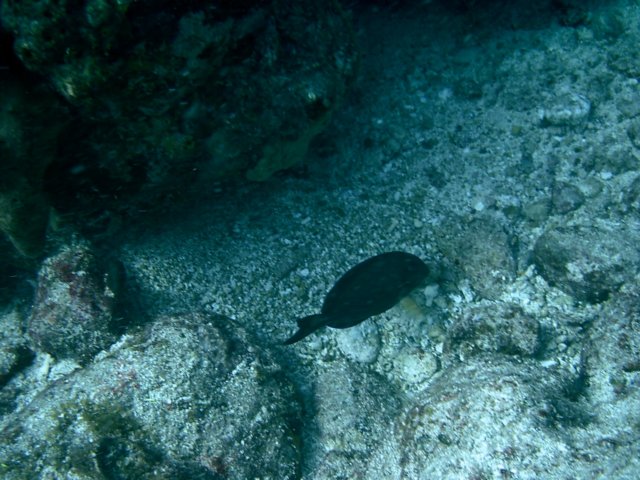 imag0139.jpg