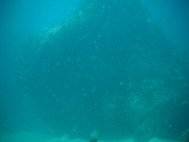 imag0141.jpg