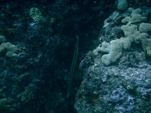 imag0144.jpg