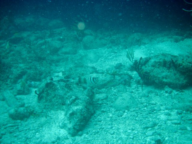 imag0147.jpg