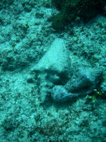 imag0148.jpg