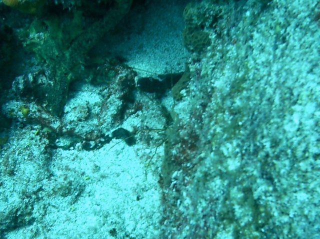 imag0152.jpg