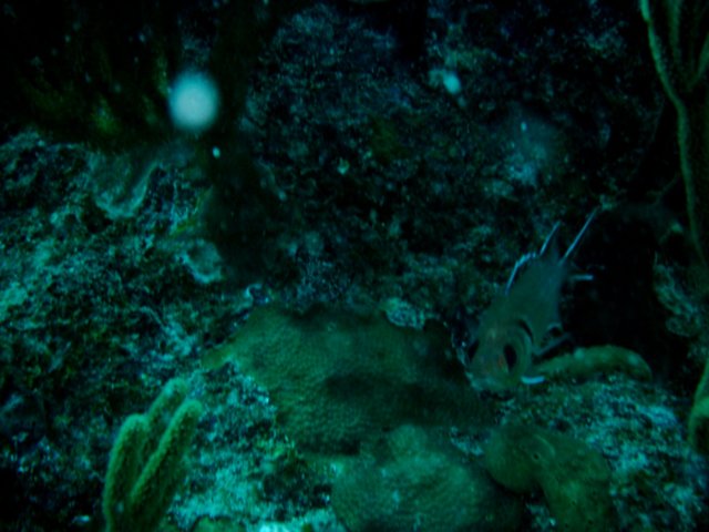 imag0155.jpg