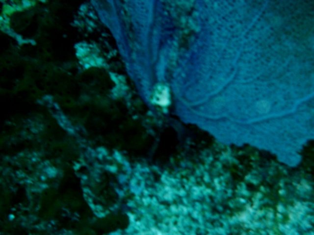 imag0157.jpg