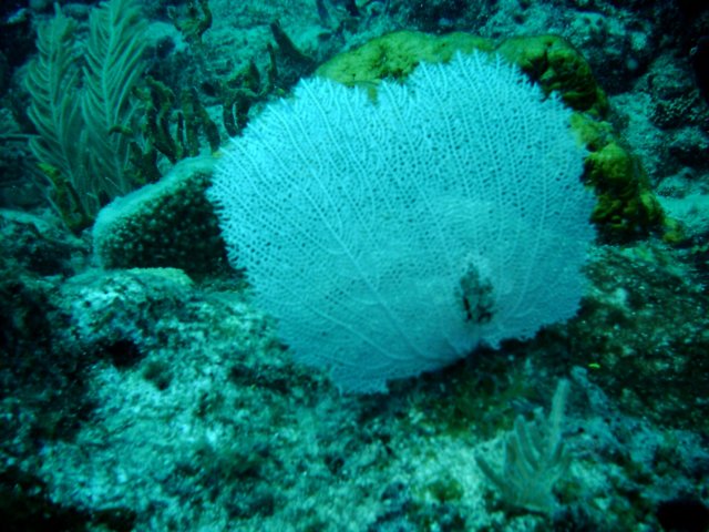 imag0158.jpg