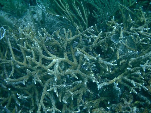 imag0169.jpg