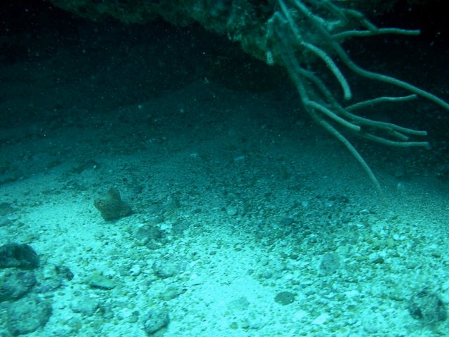 imag0170.jpg