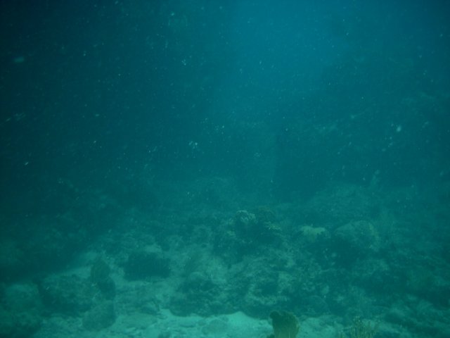 imag0171.jpg