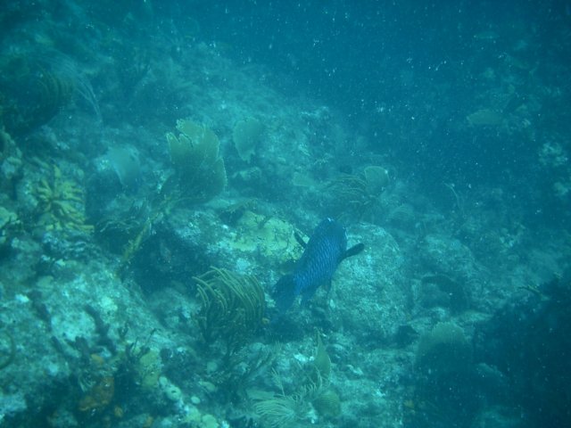 imag0173.jpg