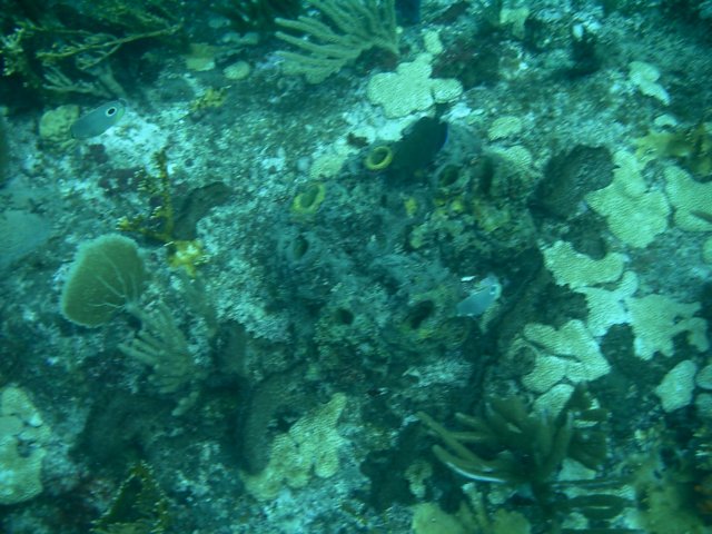 imag0174.jpg