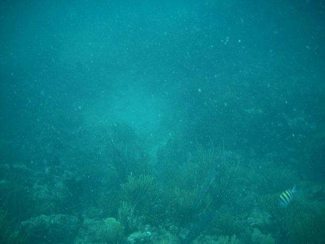 imag0176.jpg