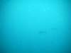 imag0177_small.jpg