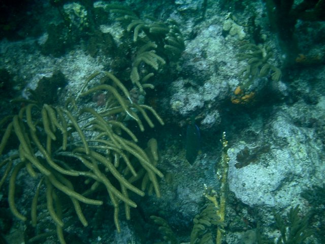 imag0179.jpg