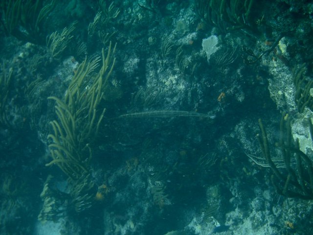 imag0182.jpg