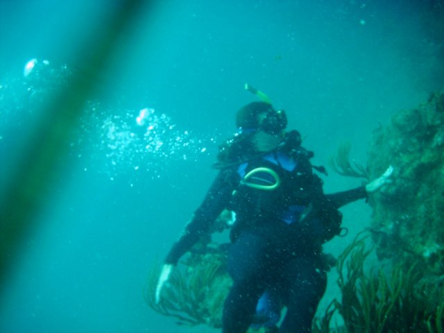 imag0189.jpg