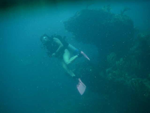 imag0193.jpg