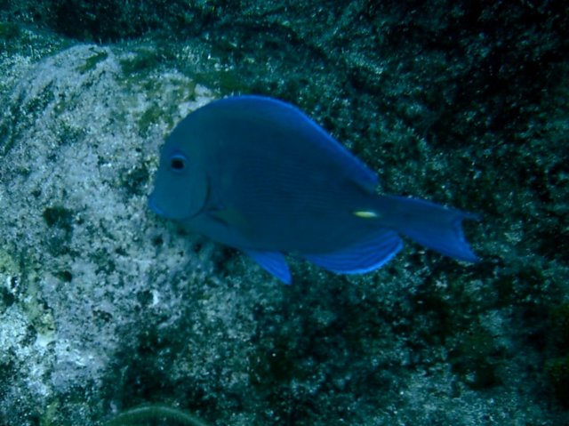 imag0208.jpg