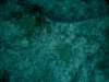 imag0210_small.jpg