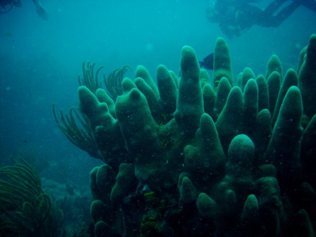 imag0223.jpg