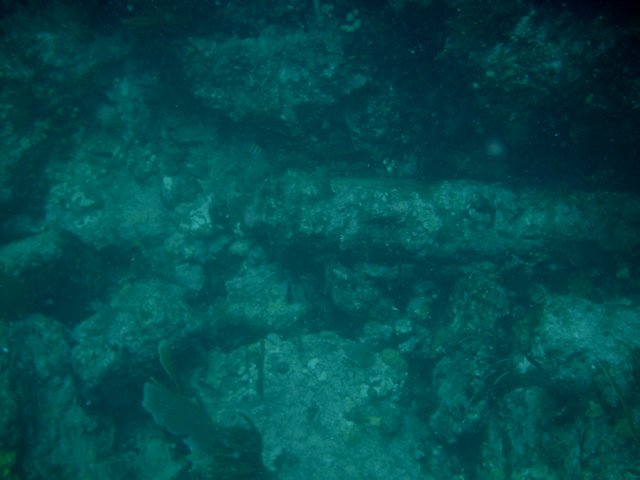 imag0225.jpg